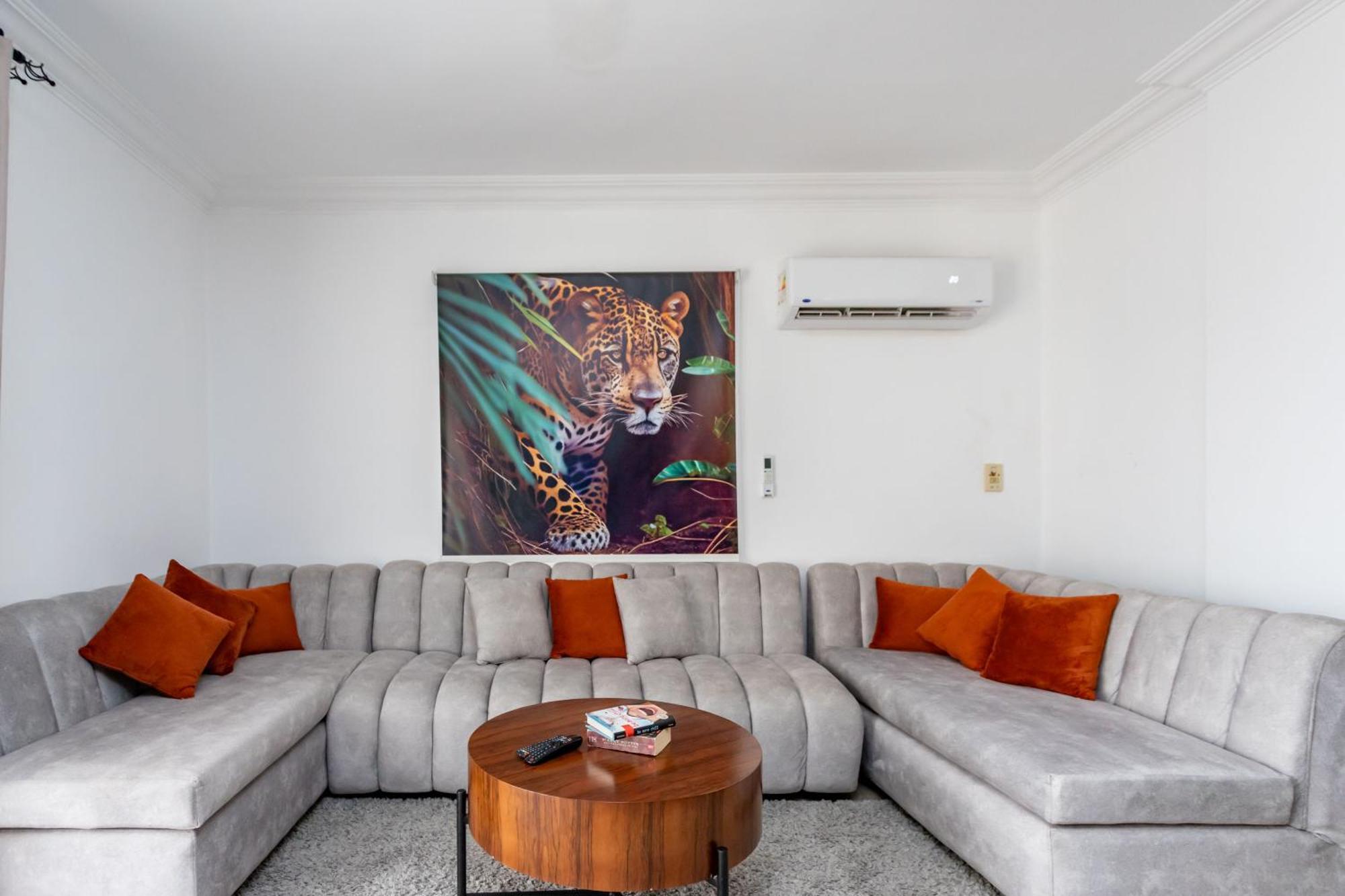 Modern In Nasr Apartment Cairo
